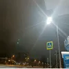 olivochka.220711