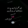 shahzeelshahzad13