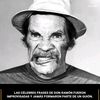 safao528