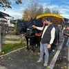 alinsar946