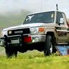 mohammed_awad17