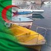 kamel7135