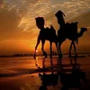 nouri_dz93