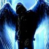 david_vr99