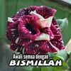 syamsiahsyam723