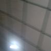 popol6000