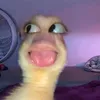 jajjaa0_0