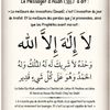 raina_diallo