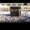 najm9631