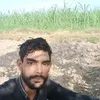 muhammadniaz8568