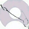 drahendra07