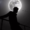 darwish_darwish
