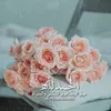 ommohammedalkha96