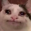 thngtrnf