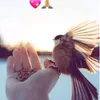 user4i8yp9e6sp