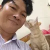 trinhtinh010881