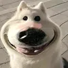 odaycoanhne