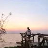 hoahaiduong1004