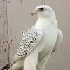 userkj57m4lo8t