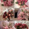 fatima__fifi