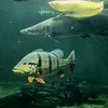 monsterfishkeeperhungary