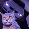 elgatitomcho
