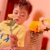 dareenmurad340