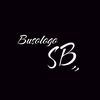 busologo_sb