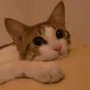 roby_9698