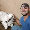 davidpatrick_dreis