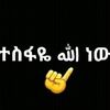 abukir8