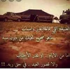 user29448492781651