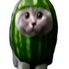 cheese_7360