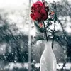 noon3333345555