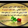 fatimasafouane626