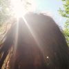 blurfy3