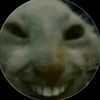 justtoxicbooi