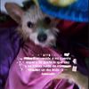 .twicsvelita