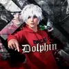 dolphindz2310
