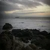 dr_vux