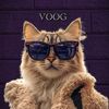 voog_0
