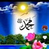 amirabdullah731