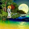 thi.nguyen538