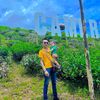 apitbuah