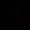leoz.viex