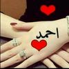 ahmadsalah8746