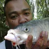 hariharimaufishing