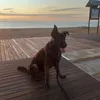 davidextremerra63