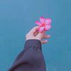 akhwat_private223