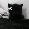 qqqqq_xxxxxx
